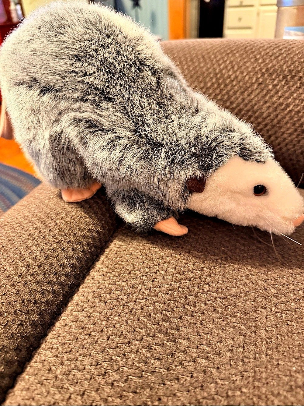Folkmanis Opossum Hand Puppet Plush Realistic Possum Long Pink Tail Gray